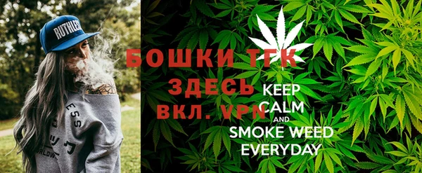 СК Горнозаводск